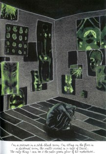 Vanistendael-David-p-161